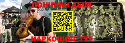 индика Ставрополь