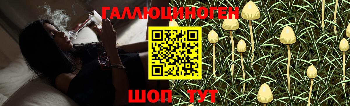 Мегион  Галлюциногенные грибы GOLDEN TEACHER  Вход с VPN 