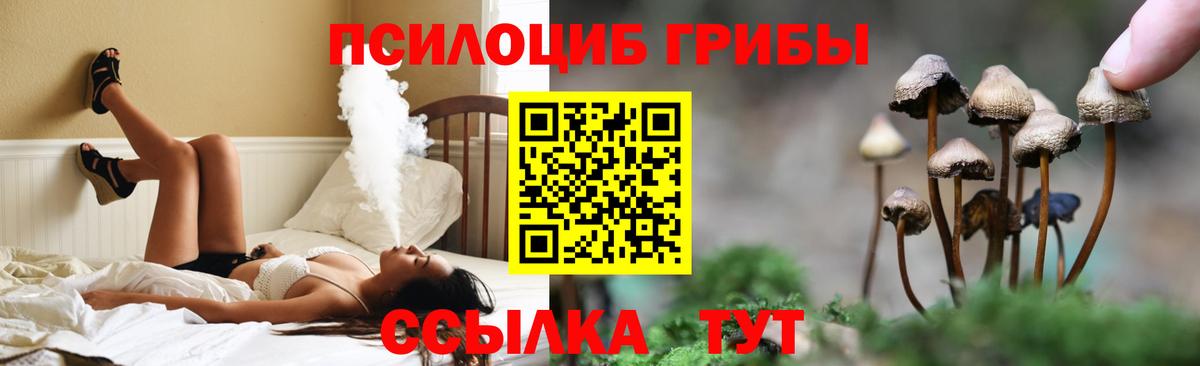 Псилоцибиновые грибы Psilocybe Мегион